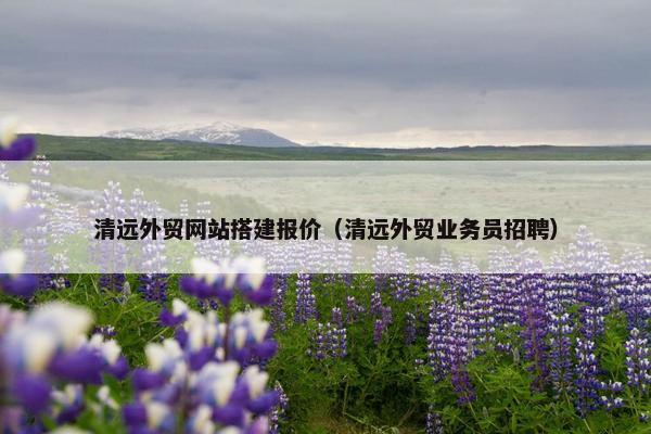 清远外贸网站搭建报价（清远外贸业务员招聘）