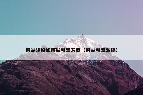 网站建设如何做引流方案（网站引流源码）