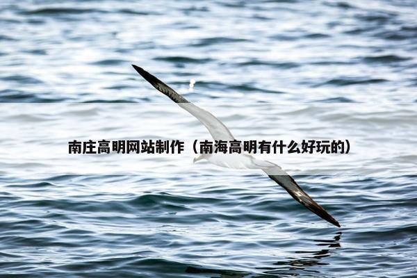 南庄高明网站制作（南海高明有什么好玩的）