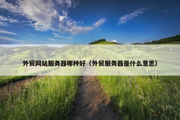 外贸网站服务器哪种好（外贸服务器是什么意思）