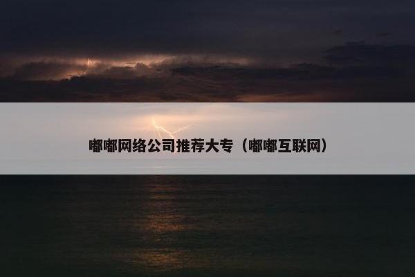 嘟嘟网络公司推荐大专（嘟嘟互联网）