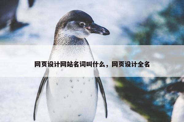 网页设计网站名词叫什么，网页设计全名