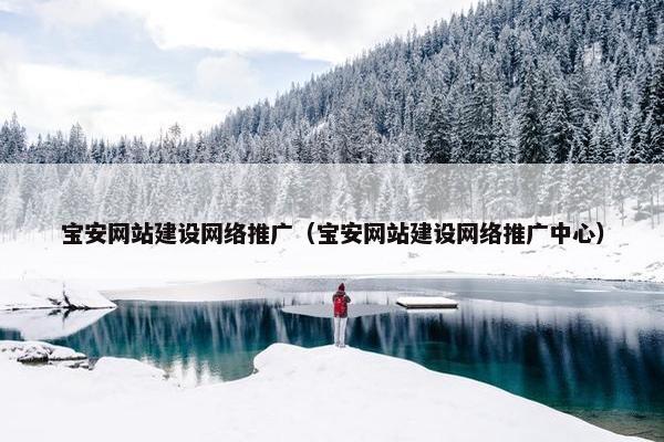 宝安网站建设网络推广（宝安网站建设网络推广中心）