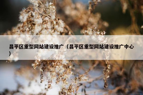 昌平区重型网站建设推广（昌平区重型网站建设推广中心）