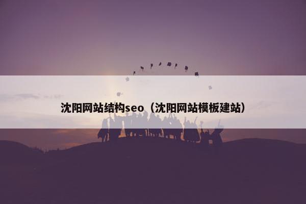 沈阳网站结构seo（沈阳网站模板建站）