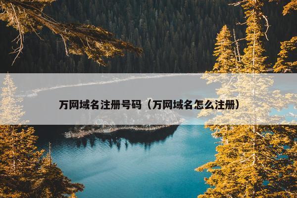万网域名注册号码（万网域名怎么注册）