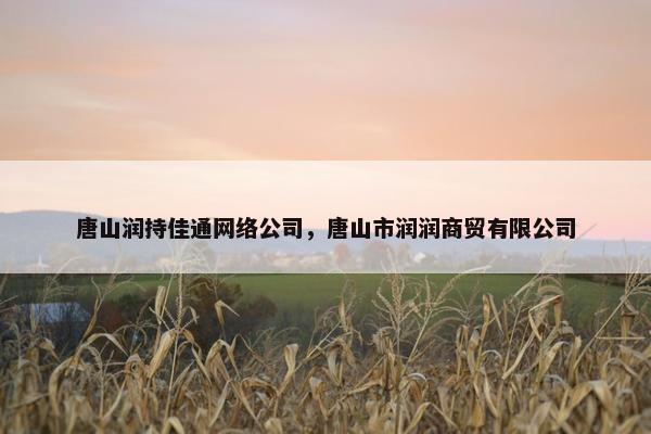 唐山润持佳通网络公司，唐山市润润商贸有限公司