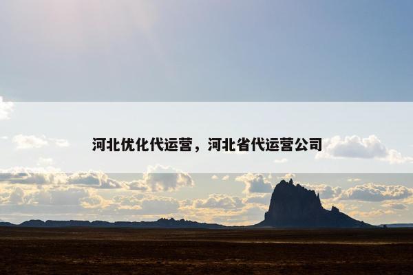 河北优化代运营，河北省代运营公司