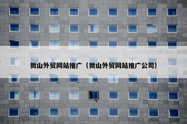 微山外贸网站推广（微山外贸网站推广公司）