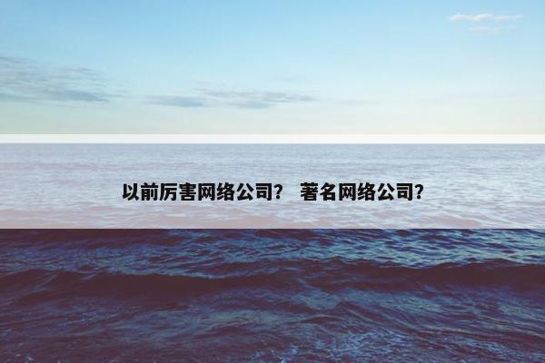 以前厉害网络公司？ 著名网络公司？