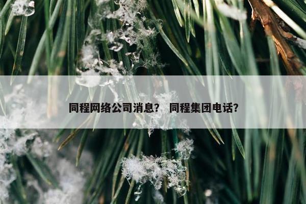 同程网络公司消息？ 同程集团电话？