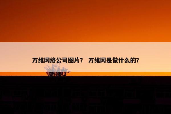 万维网络公司图片？ 万维网是做什么的？