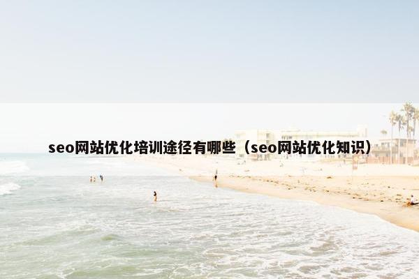 seo网站优化培训途径有哪些（seo网站优化知识）