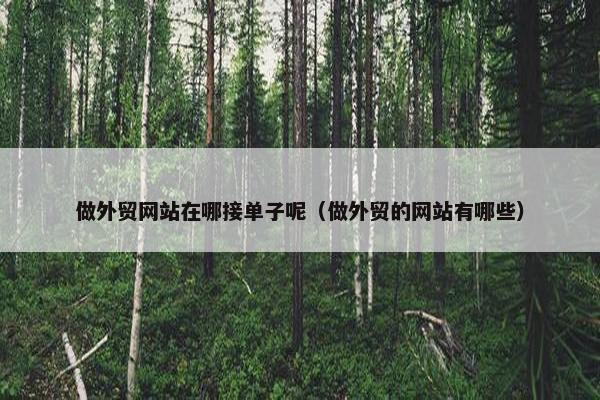 做外贸网站在哪接单子呢（做外贸的网站有哪些）