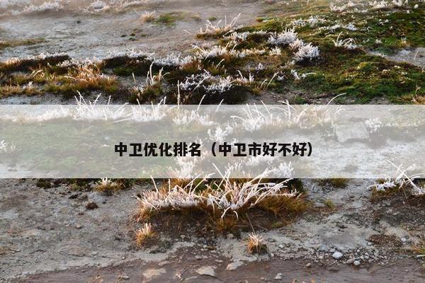 中卫优化排名（中卫市好不好）