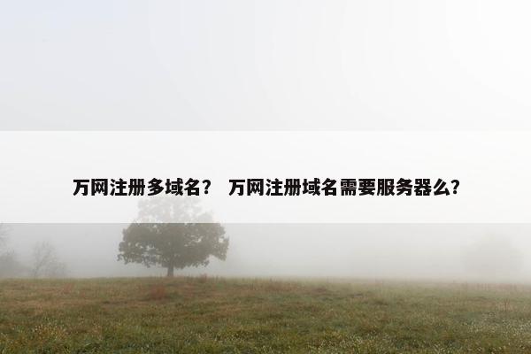 万网注册多域名？ 万网注册域名需要服务器么？