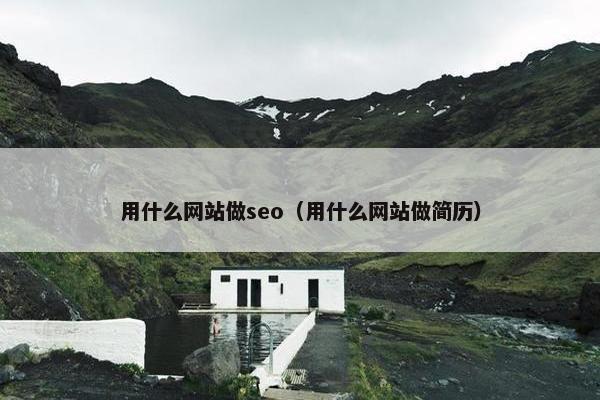 用什么网站做seo（用什么网站做简历）