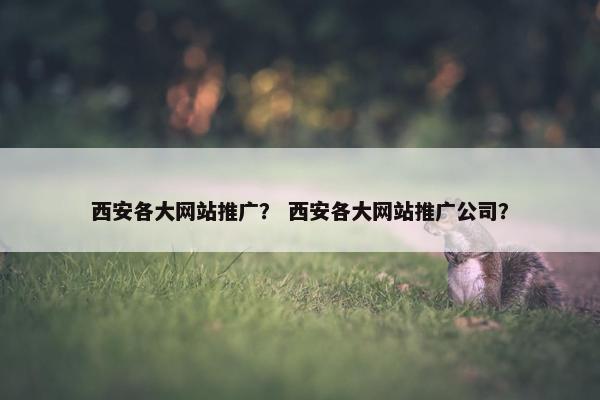 西安各大网站推广？ 西安各大网站推广公司？