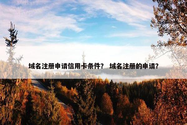 域名注册申请信用卡条件？ 域名注册的申请？