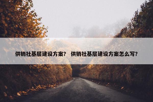 供销社基层建设方案？ 供销社基层建设方案怎么写？