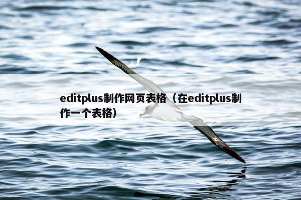 editplus制作网页表格（在editplus制作一个表格）
