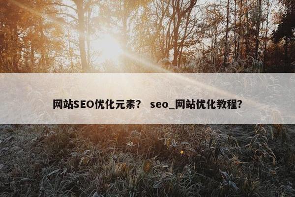 网站SEO优化元素？ seo_网站优化教程？