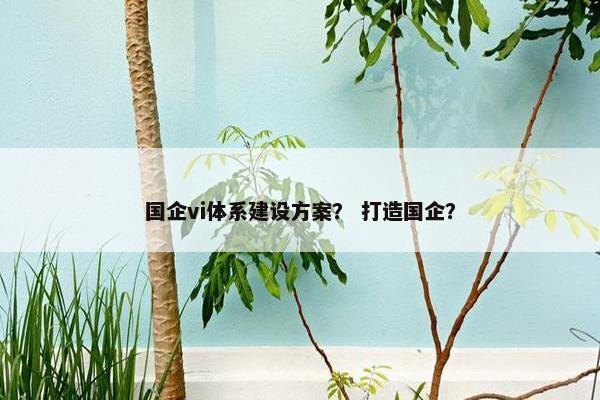 国企vi体系建设方案？ 打造国企？