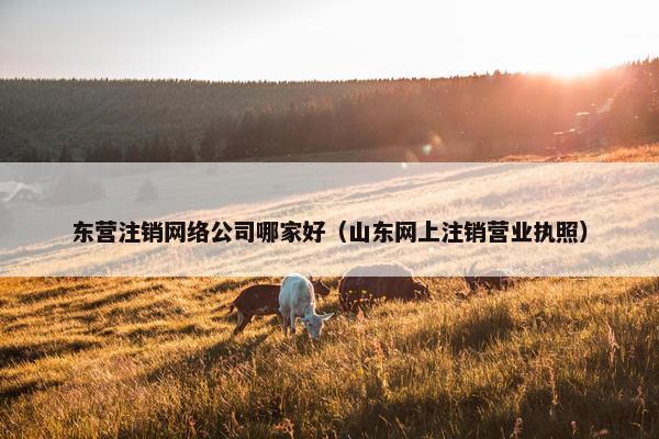 东营注销网络公司哪家好（山东网上注销营业执照）