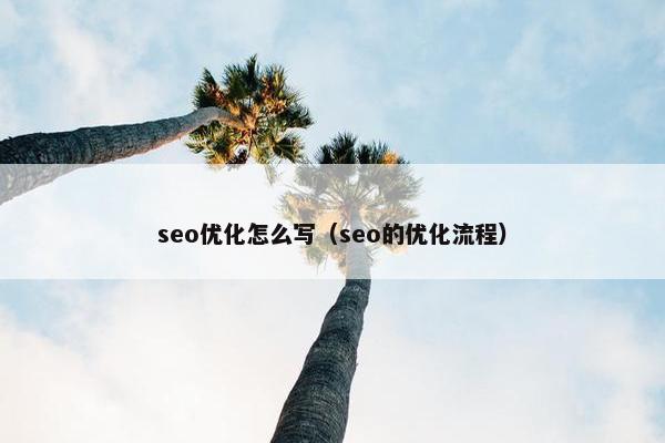 seo优化怎么写（seo的优化流程）