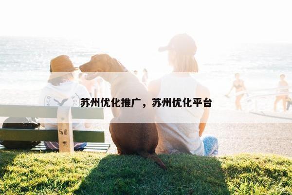 苏州优化推广，苏州优化平台