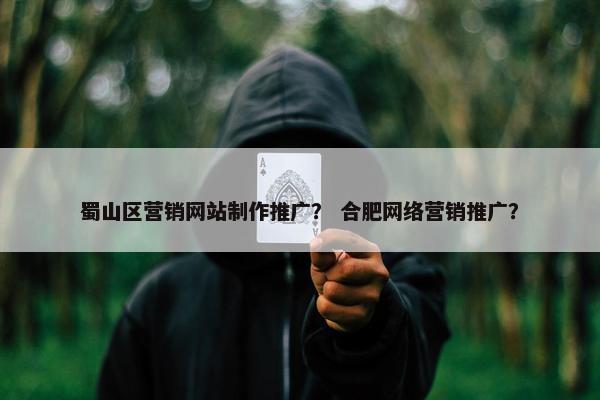 蜀山区营销网站制作推广？ 合肥网络营销推广？
