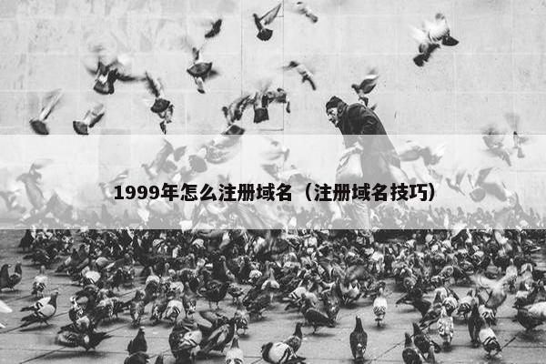 1999年怎么注册域名（注册域名技巧）