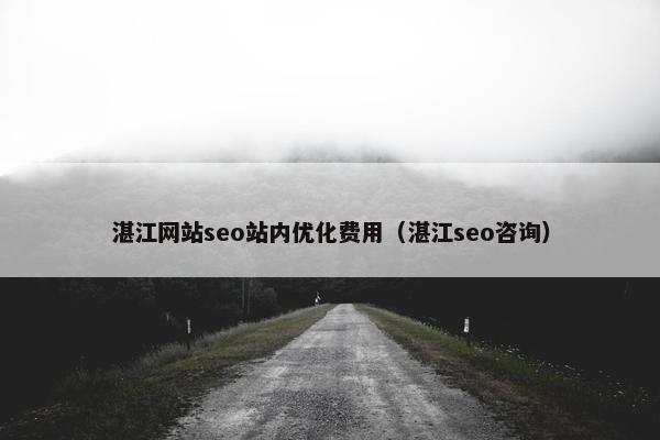 湛江网站seo站内优化费用（湛江seo咨询）