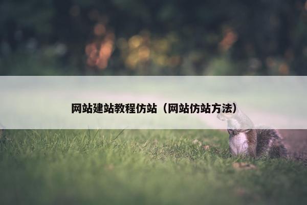 网站建站教程仿站（网站仿站方法）