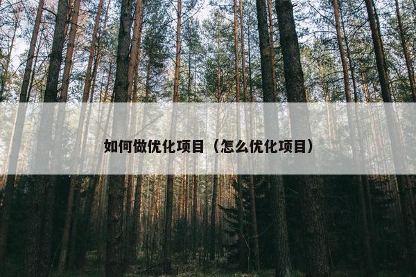 如何做优化项目（怎么优化项目）