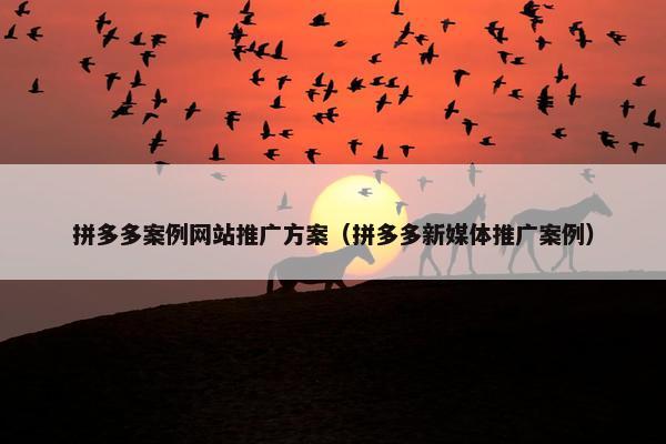 拼多多案例网站推广方案（拼多多新媒体推广案例）