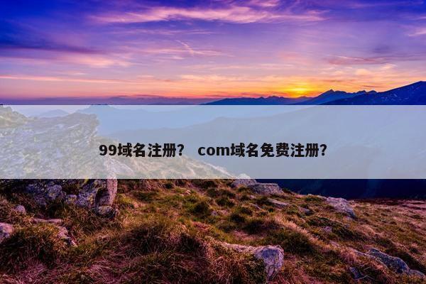 99域名注册？ com域名免费注册？