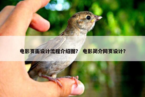 电影页面设计流程介绍图？ 电影简介网页设计？