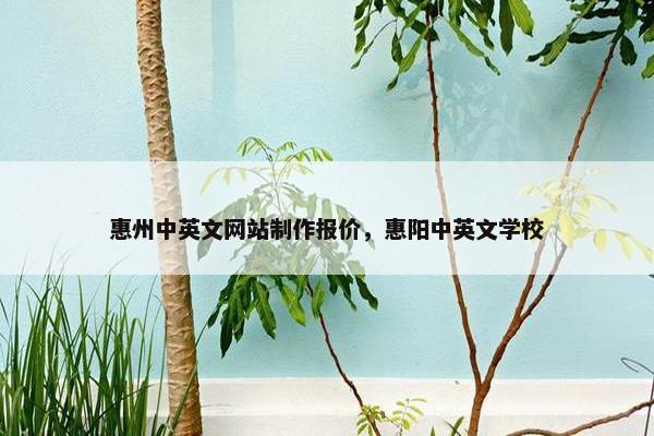 惠州中英文网站制作报价，惠阳中英文学校