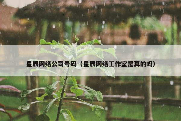 星辰网络公司号码（星辰网络工作室是真的吗）