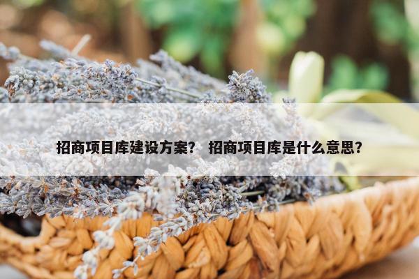 招商项目库建设方案？ 招商项目库是什么意思？