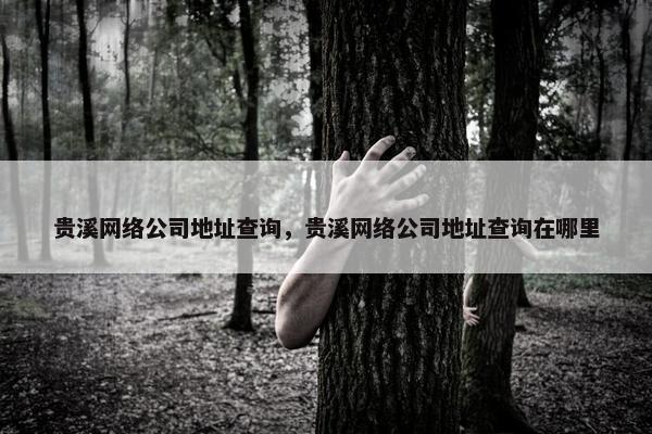 贵溪网络公司地址查询，贵溪网络公司地址查询在哪里