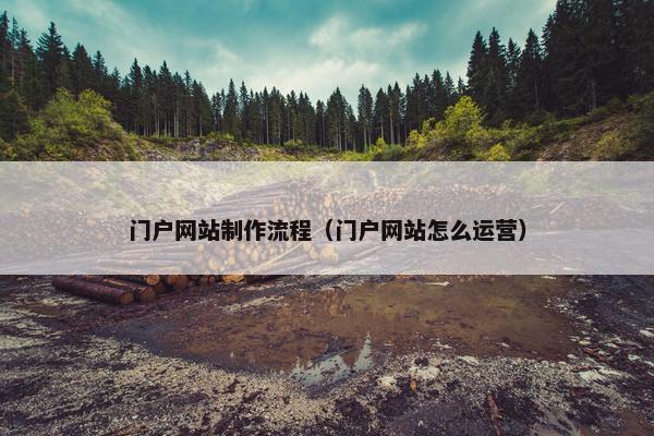 门户网站制作流程（门户网站怎么运营）