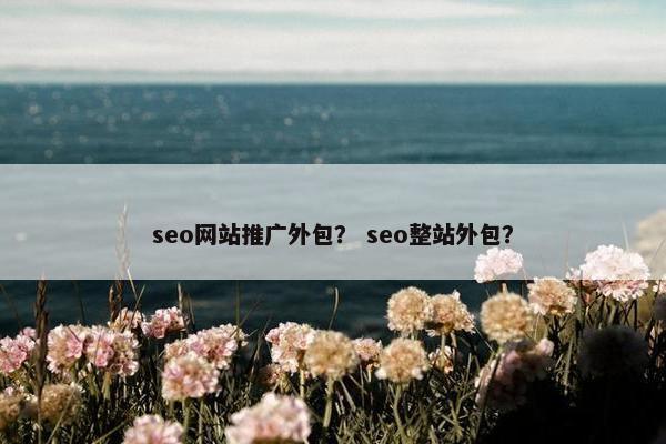 seo网站推广外包？ seo整站外包？