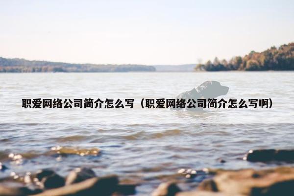 职爱网络公司简介怎么写（职爱网络公司简介怎么写啊）