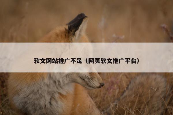 软文网站推广不足（网页软文推广平台）