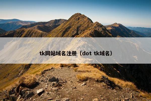 tk网站域名注册（dot tk域名）