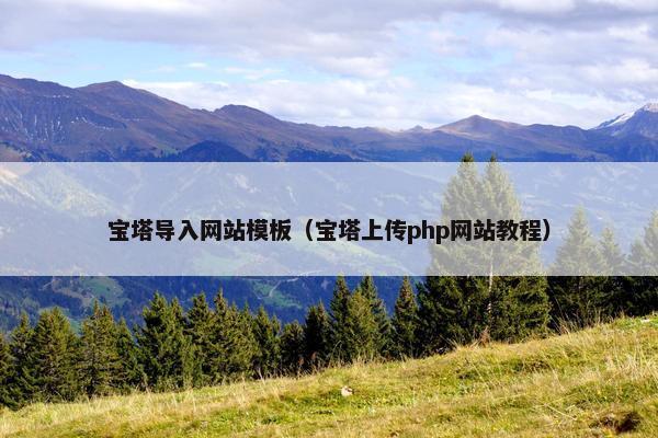 宝塔导入网站模板（宝塔上传php网站教程）
