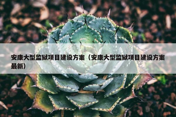 安康大型监狱项目建设方案（安康大型监狱项目建设方案最新）