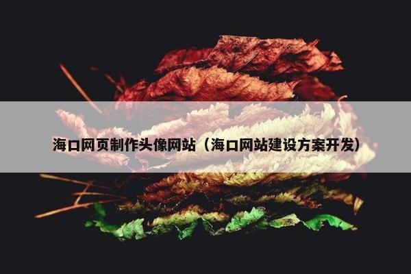 海口网页制作头像网站（海口网站建设方案开发）